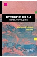 Papel FEMINISMOS DEL SUR RECORRIDOS ITINERARIOS JUNTURAS