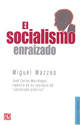 Papel SOCIALISMO ENRAIZADO (COLECCION POLITICA Y DERECHO)