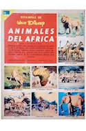 Papel ANIMALES DEL AFRICA (COLECCION ESTAMPAS DE WALT DISNEY)