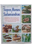 Papel SAPOS RANAS Y SALAMANDRAS (COLECCION UN LIBRO DE ORO DE ESTAMPAS)