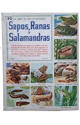 Papel SAPOS RANAS Y SALAMANDRAS (COLECCION UN LIBRO DE ORO DE ESTAMPAS)