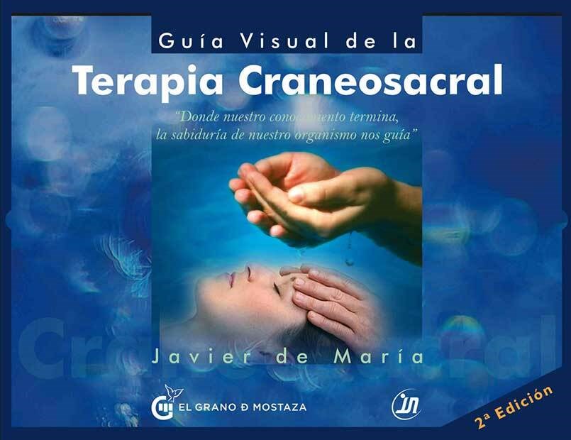 Papel Guia Visual De La Terapia Craneo Sacral