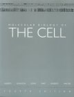Papel Molecular Biology Of The Cell Ed.4