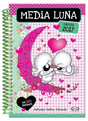 Papel Agenda Media Luna 2017 Rosa