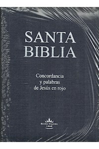 Papel Santa Biblia Letra Gigante Rv1960 -Rvr084Czlgia Pjr Masculino