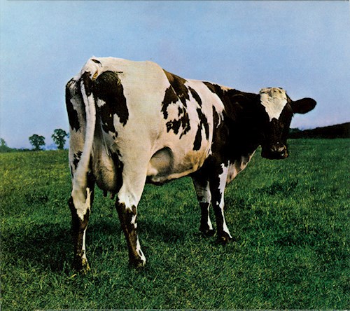 Zivals - ANIMALS por PINK FLOYD - 888751842717