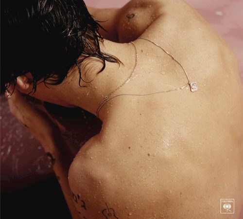 VINILO HARRY STYLES