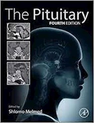 Papel The Pituitary