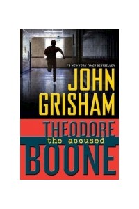 Papel Theodore Boone:The Accused (Pb)