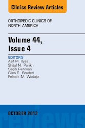 E-book Volume 44, Issue 4, An Issue Of Orthopedic Clinics