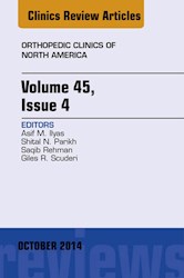 E-book Volume 45, Issue 4, An Issue Of Orthopedic Clinics