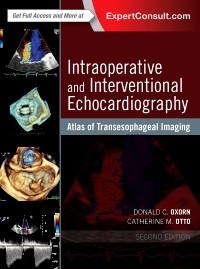 Papel Intraoperative and Interventional Echocardiography