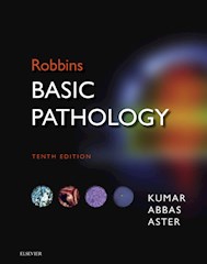 E-book Robbins Basic Pathology