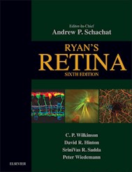 E-book Ryan'S Retina E-Book