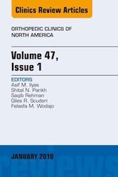 E-book Volume 47, Issue 1, An Issue Of Orthopedic Clinics