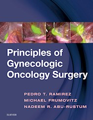 E-book Principles Of Gynecologic Oncology Surgery