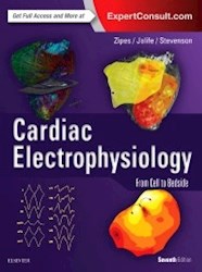 Papel+Digital Cardiac Electrophysiology: From Cell To Bedside