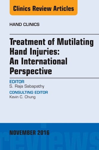  Treatment Of Mutilating Hand Injuries  An International Perspective  An Issue Of Hand Clinics