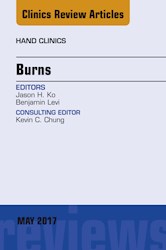E-book Burns, An Issue Of Hand Clinics