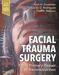 E-book Facial Trauma Surgery