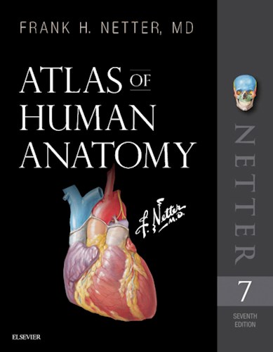 human anatomy atlas human anatomy atlas