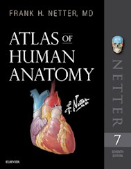 E-book Atlas Of Human Anatomy