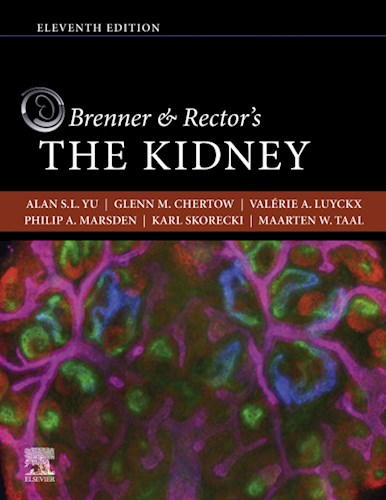  Brenner And Rector S The Kidney E-Book