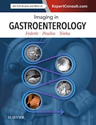 E-book Imaging In Gastroenterology