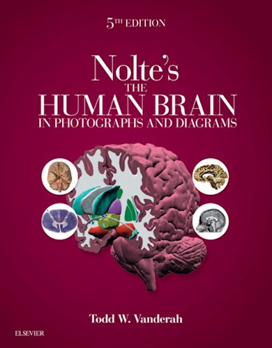 E-book Nolte's The Human Brain in Photographs and Diagrams