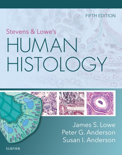  Stevens   Lowe S Human Histology - E-Book