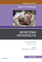 E-book Necrotizing Enterocolitis, An Issue Of Clinics In Perinatology