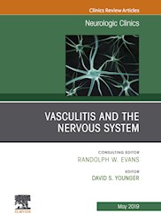 E-book Vasculitis And The Nervous System, An Issue Of Neurologic Clinics