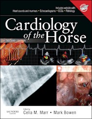 E-book Cardiology Of The Horse