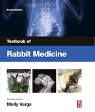 E-book Textbook Of Rabbit Medicine
