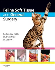 E-book Feline Soft Tissue And General Surgery
