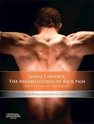 E-book Spinal Control: The Rehabilitation Of Back Pain