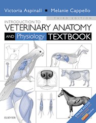 E-book Introduction To Veterinary Anatomy And Physiology Textbook