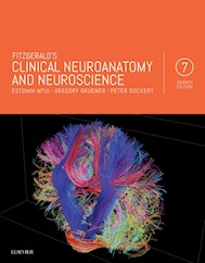 E-book Fitzgerald'S Clinical Neuroanatomy And Neuroscience