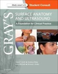 Papel Grays Surface Anatomy And Ultrasound