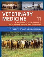 E-book Veterinary Medicine