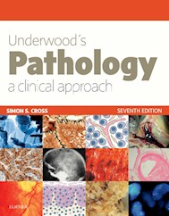 E-book Underwood'S Pathology