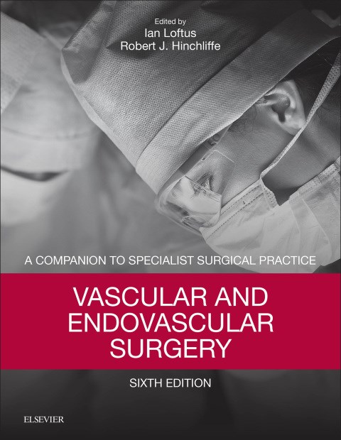 E-book Vascular And Endovascular Surgery E-Book