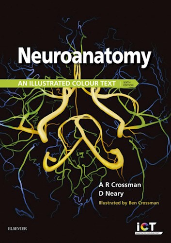 E-book Neuroanatomy