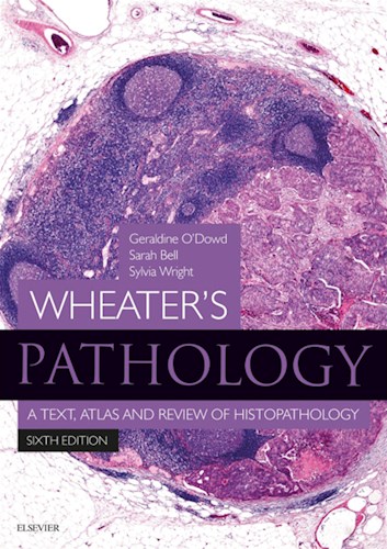  Wheater S Pathology  A Text  Atlas And Review Of Histopathology E-Book