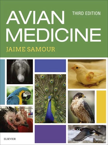 E-book Avian Medicine