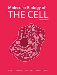 Papel Molecular Biology Of The Cell