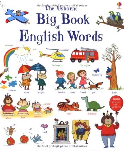 Papel The Usborne Big Book Of English Words