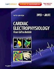 Papel Cardiac Electrophysiology: From Cell To Bedside