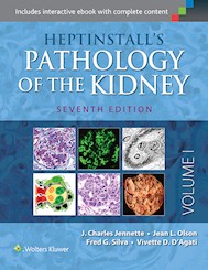 Papel Heptinstall S Pathology Of The Kidney