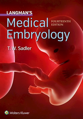  Langman S Medical Embryology